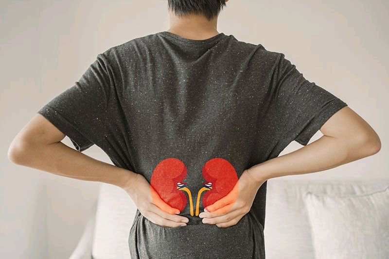 How to Prevent kidney disease by making heartful choices.